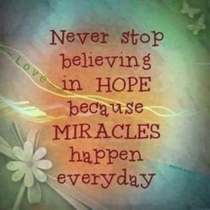 Meet your Posher, Shasta